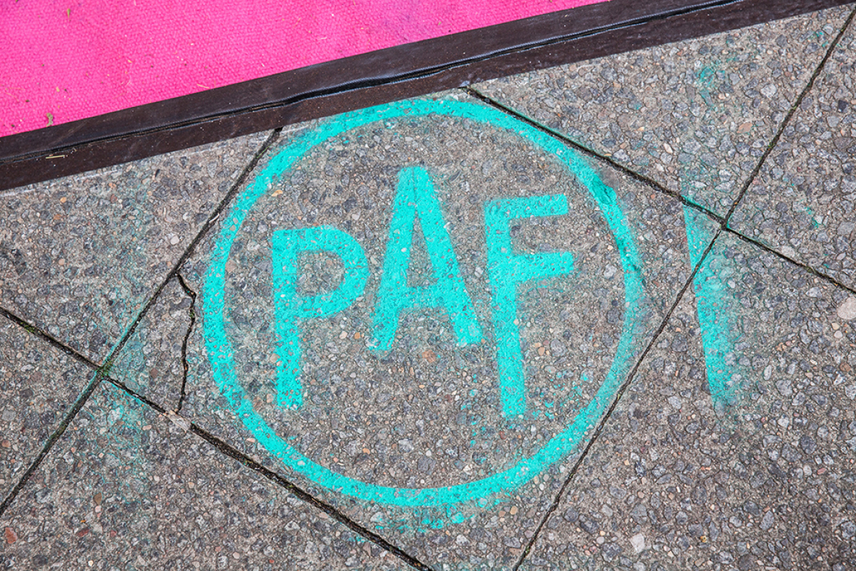PAF Image photographed by Paula Reissig